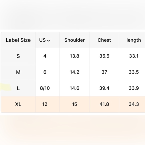 Black Embroidered Lantern Sleeve Mini Dress - Picture 7 of 7